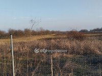 Eladó családi ház, Pusztamonostoron 26 M Ft, 1+1 szobás