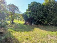 Eladó családi ház, Egerváron 10.5 M Ft, 1 szobás