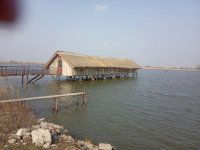 Eladó mezogazdasagi ingatlan