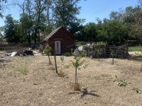 Eladó családi ház, Kecskeméten 49.5 M Ft, 2 szobás