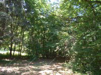 Eladó családi ház, Hegyhátszentjakabon 28 M Ft, 2 szobás