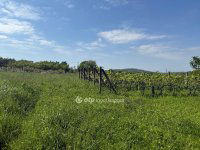 Eladó telek, Túronyon 3 M Ft / költözzbe.hu