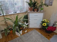 Eladó családi ház, Pécelen 104.9 M Ft, 4 szobás