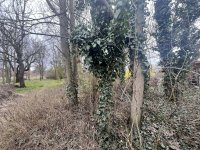 Eladó telek, Debrecenben 82 M Ft / költözzbe.hu