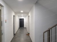 Eladó üzlethelyiség, Komáromban 45 M Ft, 1 szobás