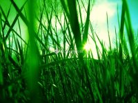 Eladó telek, Nyíregyházán, Kemecsei úton 10.5 M Ft