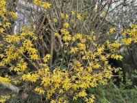 Eladó családi ház, Budapesten, XVIII. kerületben 194.9 M Ft