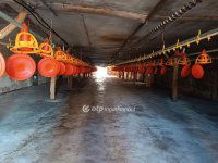 Eladó mezogazdasagi ingatlan, Csőszön 298 M Ft