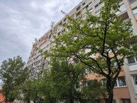 Eladó panellakás, XIV. kerületben 74.9 M Ft, 3 szobás