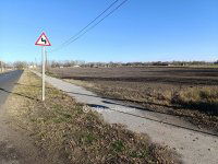 Eladó mezogazdasagi ingatlan, Balástyán 12 M Ft