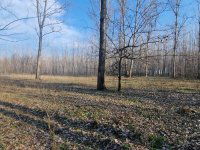 Eladó mezogazdasagi ingatlan, Cegléden 1 M Ft