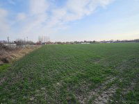 Eladó telek, Pápán 59.9 M Ft / költözzbe.hu