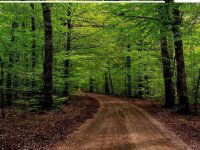 Eladó mezogazdasagi ingatlan, Kecskeméten 11.5 M Ft