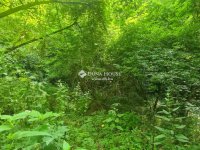 Eladó telek, Regenyén 3.5 M Ft / költözzbe.hu