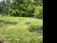 Eladó telek, Sződön 40 M Ft / költözzbe.hu