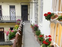 Eladó téglalakás, VII. kerületben 59 M Ft, 1 szobás