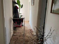 Eladó családi ház, Pásztón 19.9 M Ft, 2+1 szobás