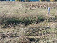 Eladó telek, Tökölön 38 M Ft / költözzbe.hu