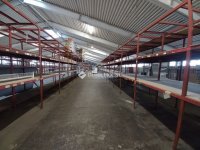 Kiadó ipari ingatlan, Pécsett 999 E Ft / hó