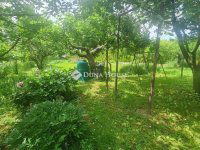 Eladó családi ház, Zalaegerszegen 110 M Ft, 6 szobás