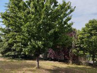 Eladó telek, Győrújbaráton 14.5 M Ft / költözzbe.hu