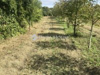 Eladó családi ház, Vajszlón 18 M Ft, 2 szobás