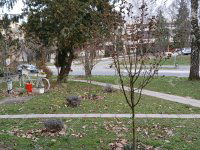 Eladó téglalakás, Zalaegerszegen 42.5 M Ft, 3 szobás