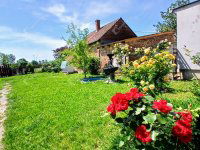 Eladó családi ház, Nován 29.5 M Ft, 2 szobás