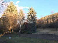 Eladó családi ház, Biatorbágyon 150 M Ft, 3 szobás