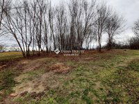 Eladó családi ház, Tóalmáson 44.5 M Ft, 5 szobás