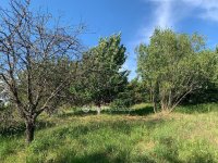 Eladó telek, Gyúrón 10 M Ft / költözzbe.hu