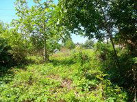 Eladó nyaraló, Miskolcon, Benedekalja utcában 12.99 M Ft