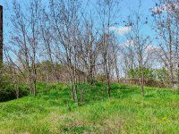 Eladó ipari ingatlan, Tapolcán 12.9 M Ft / költözzbe.hu