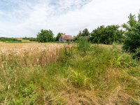 Eladó telek, Polgárdin 9.9 M Ft / költözzbe.hu