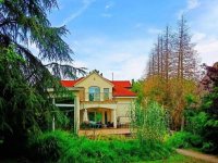 Eladó családi ház, Kisorosziban 129 M Ft, 6 szobás