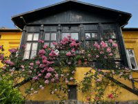 Eladó téglalakás, Visegrádon 109.8 M Ft, 2 szobás