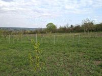 Eladó telek, Balatonkenesén 40.9 M Ft / költözzbe.hu