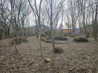 Eladó telek, Dunabogdányban 24.9 M Ft / költözzbe.hu