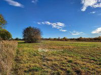 Eladó ipari ingatlan