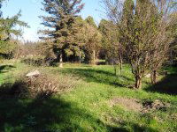 Eladó családi ház, Misefán 10.49 M Ft, 2 szobás