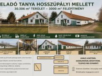 Eladó mezogazdasagi ingatlan, Hosszúpályin 249 M Ft