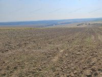 Eladó mezogazdasagi ingatlan, Szomoron 7 M Ft
