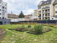 Kiadó téglalakás, albérlet, XIII. kerületben, Országbíró utcában