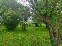 Eladó telek, Balatonőszödön 27.9 M Ft / költözzbe.hu