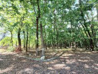 Eladó családi ház, Kecskeméten 134.48 M Ft, 1+4 szobás