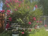 Eladó nyaraló, Dunaharasztin 51.9 M Ft, 1+1 szobás