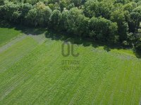 Eladó mezogazdasagi ingatlan, Mosonmagyaróváron 65 M Ft
