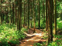 Eladó mezogazdasagi ingatlan