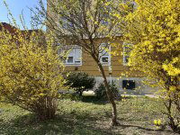 Eladó téglalakás, Zalaegerszegen 23.99 M Ft, 1 szobás