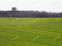 Eladó ipari ingatlan, Nagykőrösön 362.8 M Ft